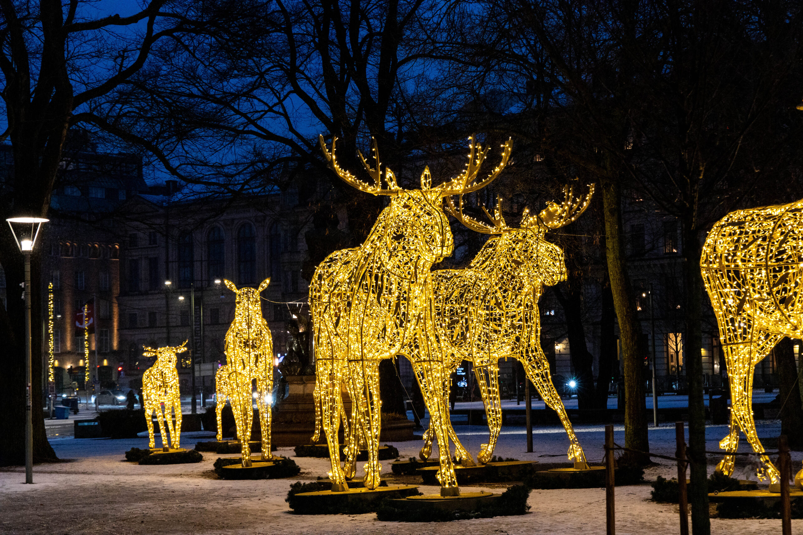 Christmas Lights Stockholm Christmas light decorations shaped as mooses in Stockholm, Sweden.